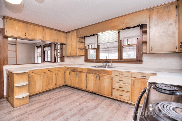 kitchen with light hardwood / wood-style floors, sink, and range with electric stovetop