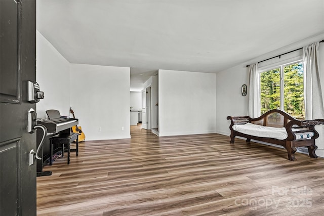 sitting room featuring wood-type flooring