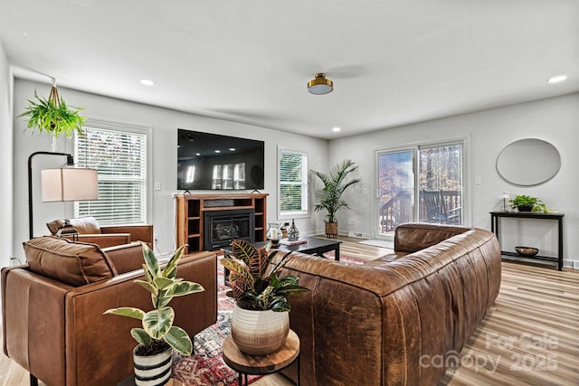 living room with a wealth of natural light and light hardwood / wood-style flooring