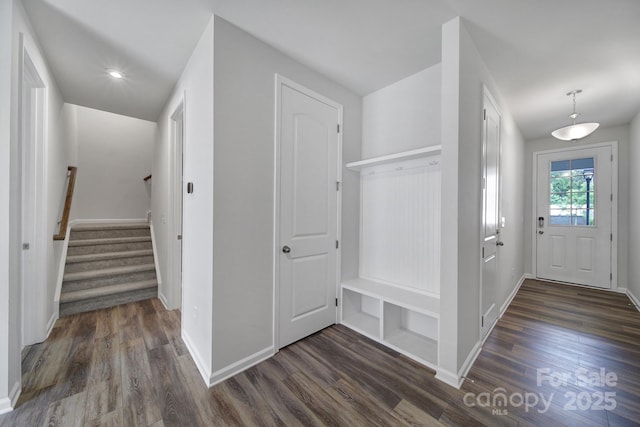 mudroom featuring dark hardwood / wood-style flooring