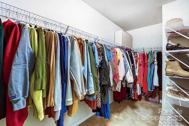 spacious closet with carpet flooring