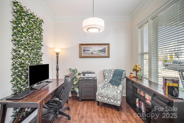 office area with ornamental molding and dark hardwood / wood-style flooring