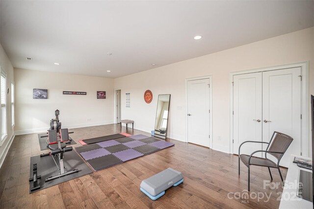 workout room featuring wood-type flooring