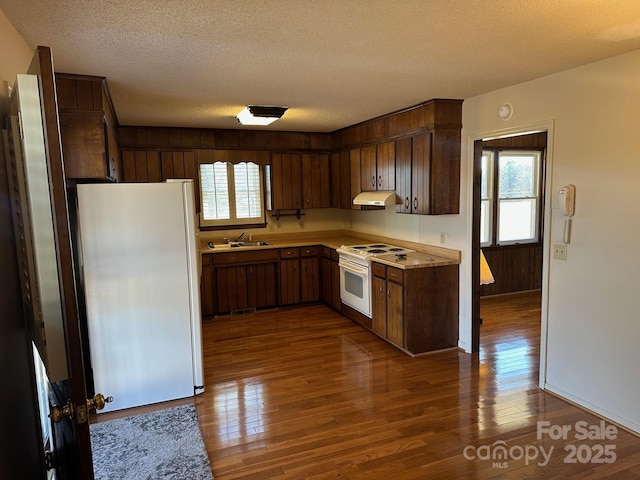 kitchen with electric stove, a healthy amount of sunlight, dark hardwood / wood-style floors, and refrigerator