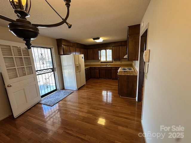 kitchen featuring sink, white fridge with ice dispenser, dark wood-type flooring, and a textured ceiling