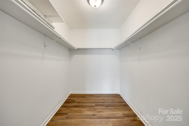 walk in closet featuring wood finished floors