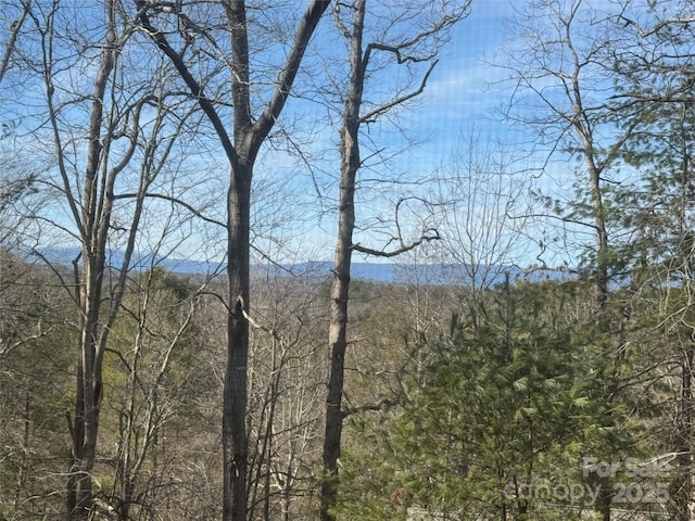 505 Victory Trl, Morganton, NC 28655 - exterior space featuring a wooded view