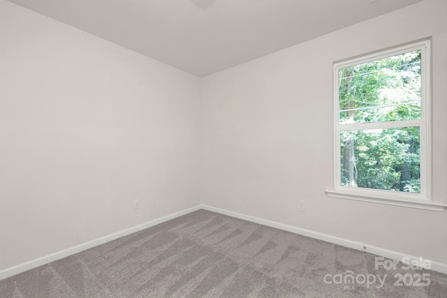 carpeted empty room with a healthy amount of sunlight