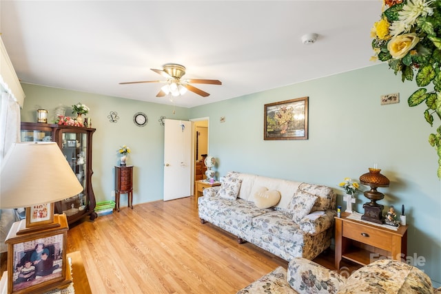 living room with ceiling fan and light hardwood / wood-style flooring