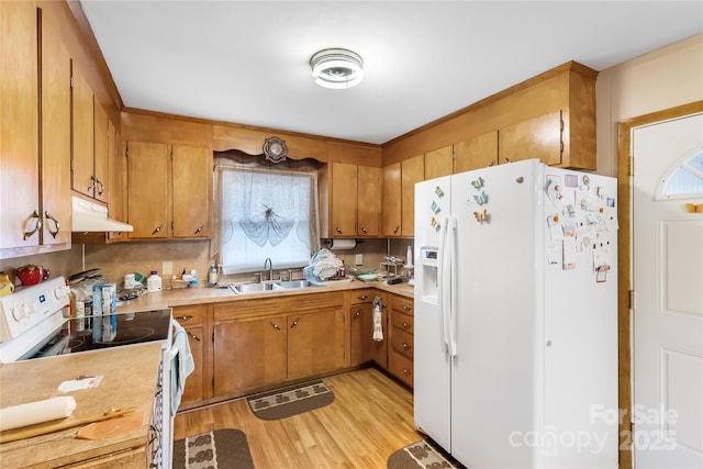 kitchen featuring decorative backsplash, white appliances, sink, and light hardwood / wood-style flooring