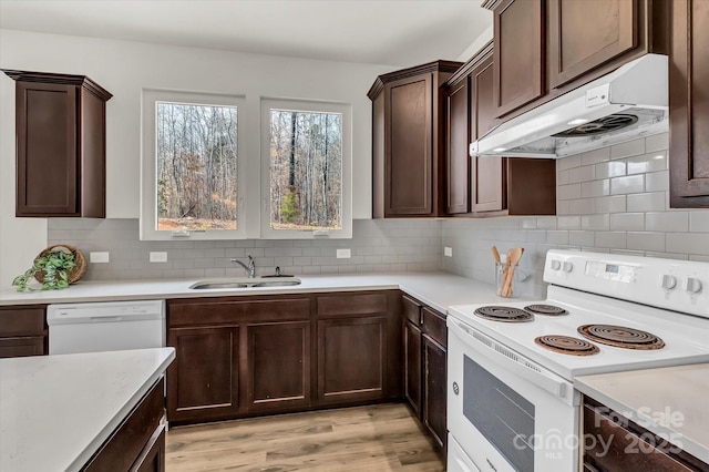 kitchen featuring tasteful backsplash, white appliances, dark brown cabinetry, light hardwood / wood-style floors, and sink