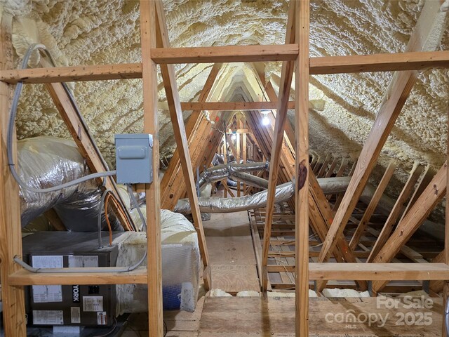 view of unfinished attic