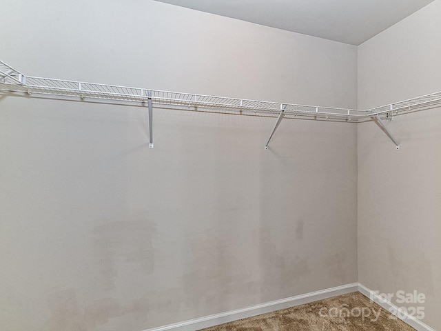 1128 Tangle Ridge Dr SE, Concord, NC 28025 - walk in closet with carpet floors