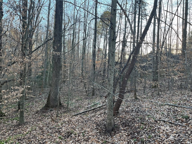 0 Chisholm Trl, Rutherfordton NC, 28139 land for sale