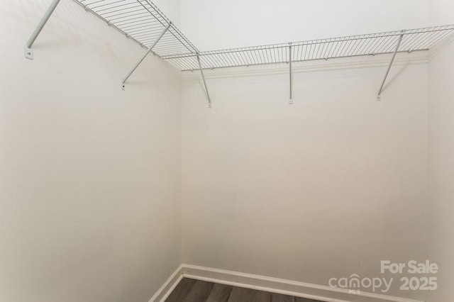 spacious closet with dark wood-type flooring