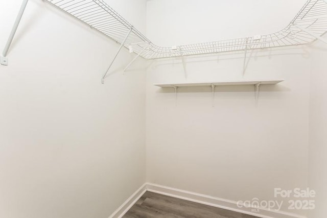 walk in closet with dark wood-type flooring