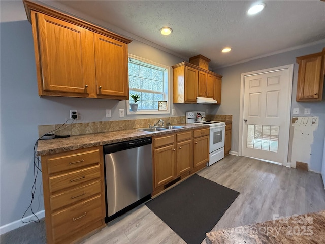 kitchen featuring dishwasher, sink, light wood-type flooring, and electric stove