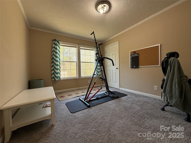 workout area featuring ornamental molding, carpet, and a textured ceiling