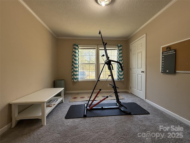 exercise room featuring crown molding, carpet, and a textured ceiling