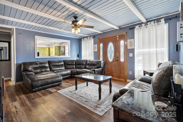 living room featuring beam ceiling, ceiling fan, wooden ceiling, and dark hardwood / wood-style flooring