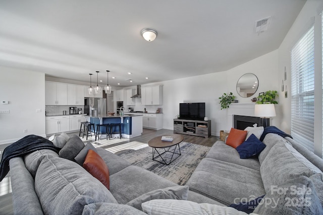 living room featuring wood-type flooring