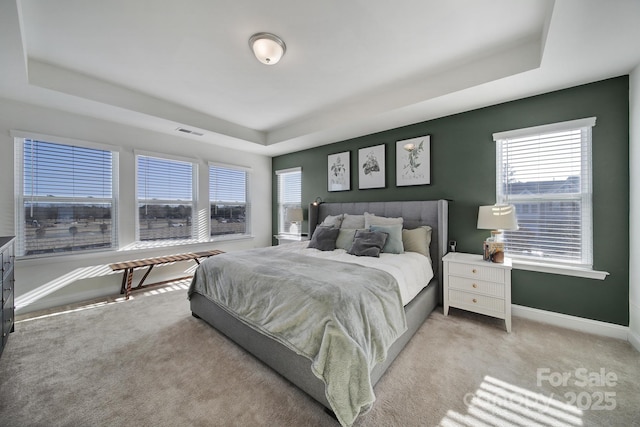 carpeted bedroom with a raised ceiling