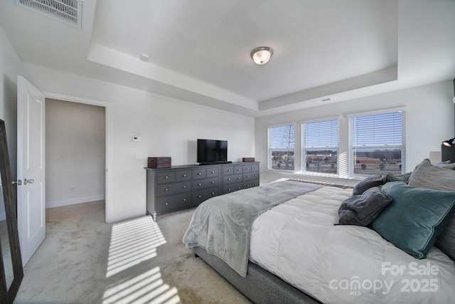 carpeted bedroom featuring a raised ceiling