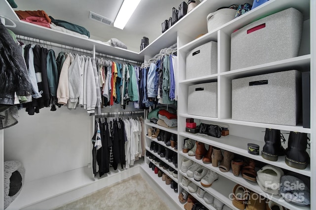 view of walk in closet