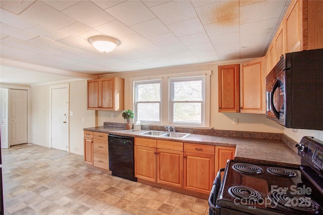 kitchen with sink and black appliances