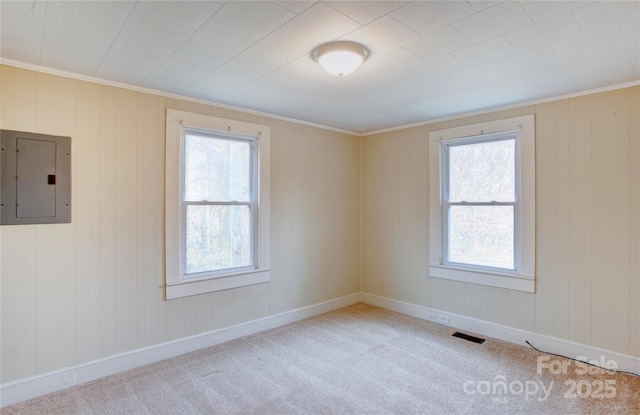 carpeted empty room featuring ornamental molding and electric panel