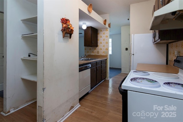 kitchen with sink, white appliances, dark brown cabinets, and light wood-type flooring