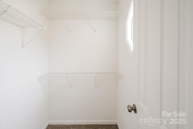 spacious closet featuring carpet