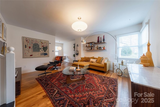 living room with hardwood / wood-style floors