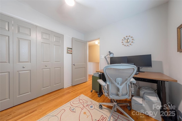 office featuring light hardwood / wood-style flooring