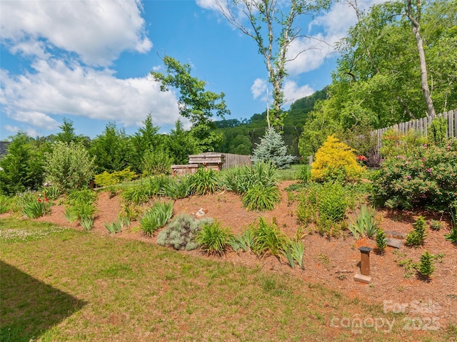 46 Starwood Valley Trl, Arden, NC 28704 - photo 37