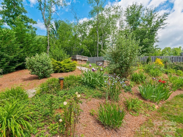 46 Starwood Valley Trl, Arden, NC 28704 - photo 35