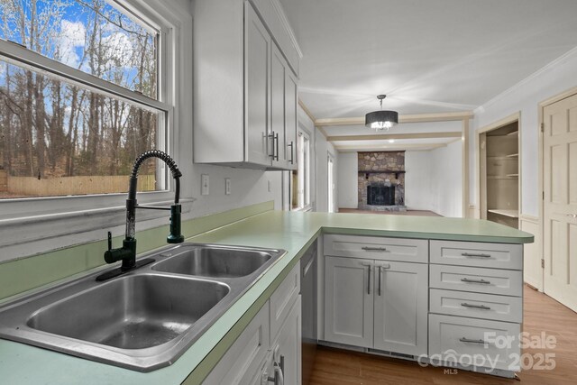 kitchen featuring hardwood / wood-style floors, sink, a large fireplace, ornamental molding, and stainless steel dishwasher