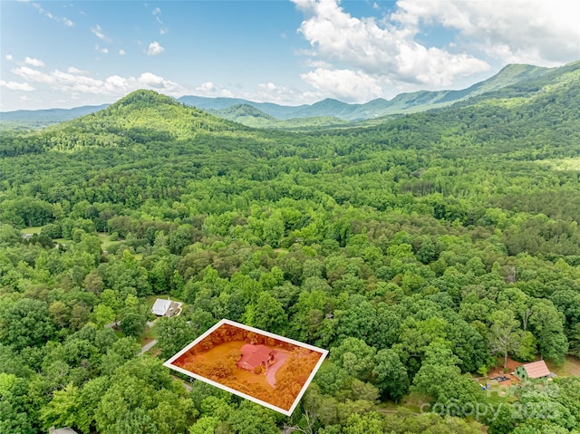 170 Hillcrest Dr, Columbus, NC 28722 - aerial overview of property's location with property boundaries highlighted and mountains