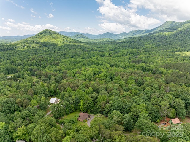 170 Hillcrest Dr, Columbus, NC 28722 - bird's eye view of a heavily wooded area and a mountain backdrop