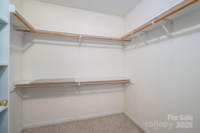 walk in closet featuring light colored carpet