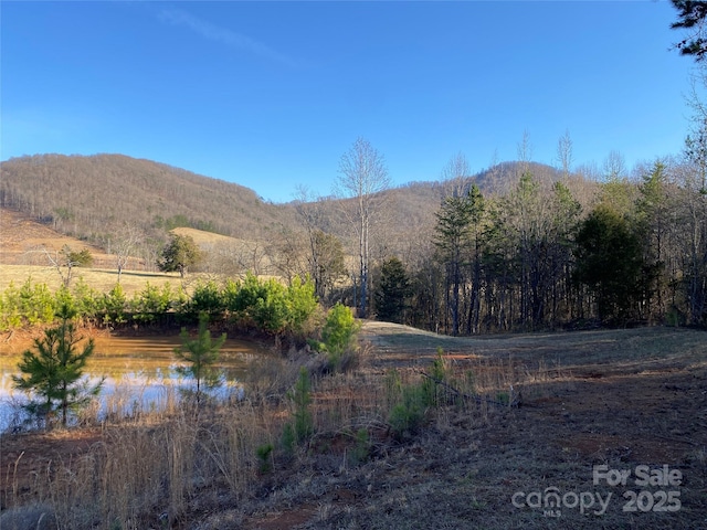 property view of mountains featuring a water view