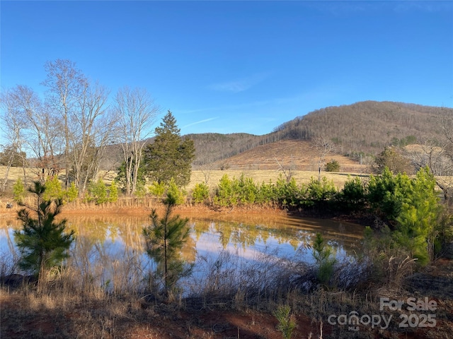 water view featuring a mountain view