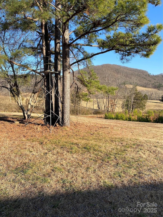 property view of mountains