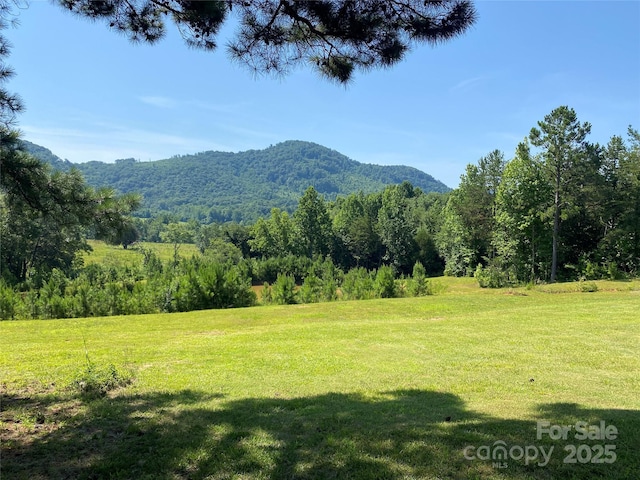 1180 Calton Rd, Bostic, NC 28018 - mountain view featuring a heavily wooded area