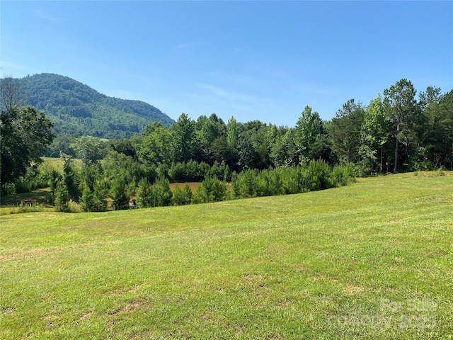 1180 Calton Rd, Bostic, NC 28018 - view of grassy yard featuring a mountain view and a wooded view