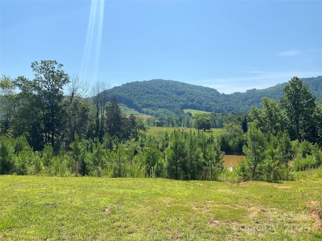 1180 Calton Rd, Bostic, NC 28018 - mountain view
