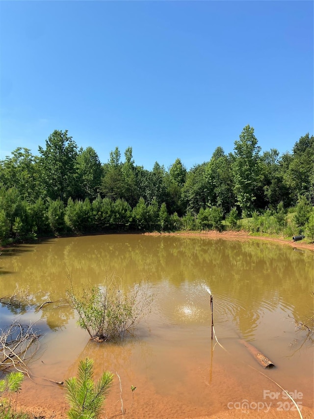 1180 Calton Rd, Bostic, NC 28018 - water view