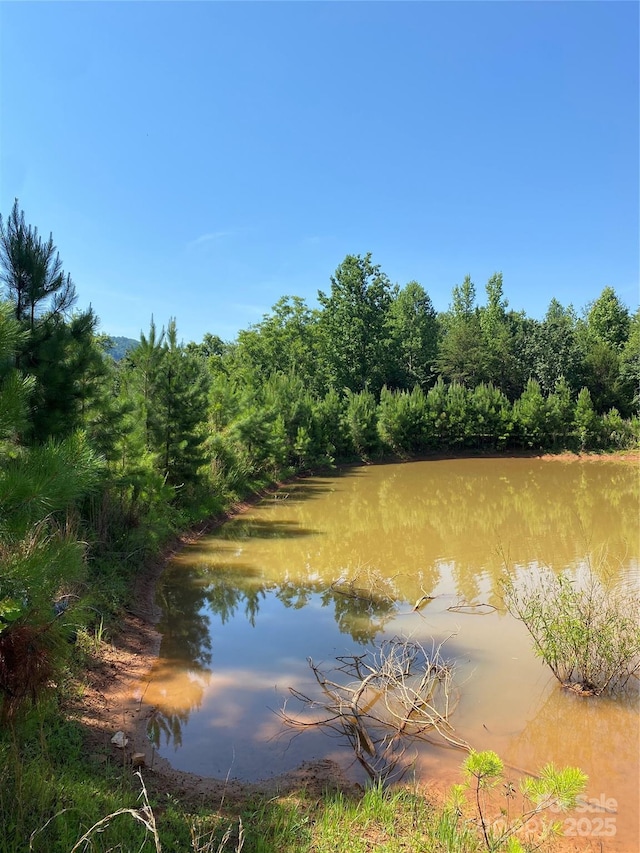 1180 Calton Rd, Bostic, NC 28018 - water view with a forest