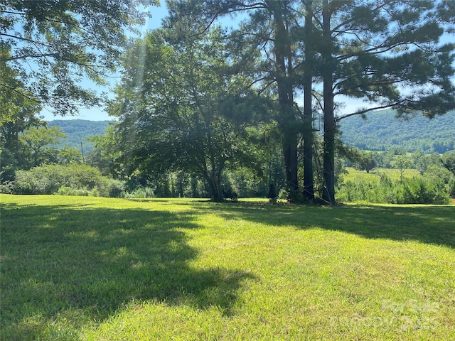 1180 Calton Rd, Bostic, NC 28018 - view of green lawn featuring a view of trees
