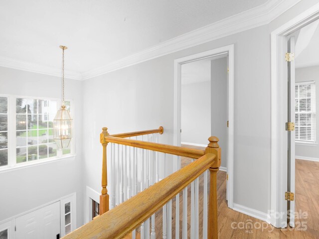 172 Foxtail Dr, Mooresville, NC 28117 - corridor with an upstairs landing, wood finished floors, crown molding, and baseboards